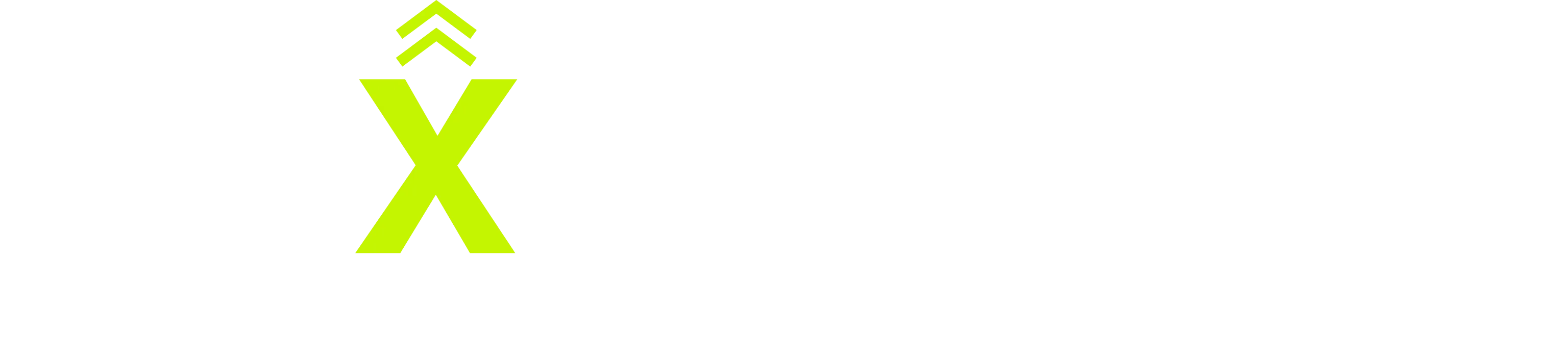 Cuxtomers CS Consulting